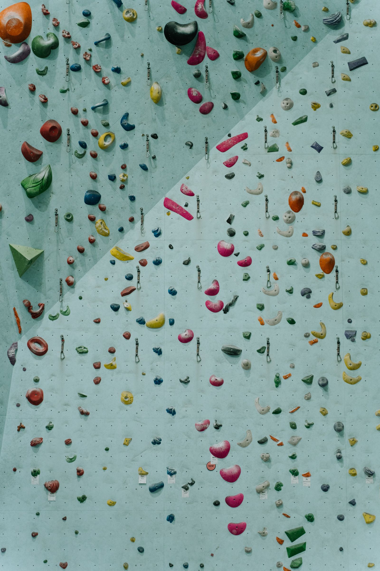 Colorful holds and quickdraws on an indoor climbing wall